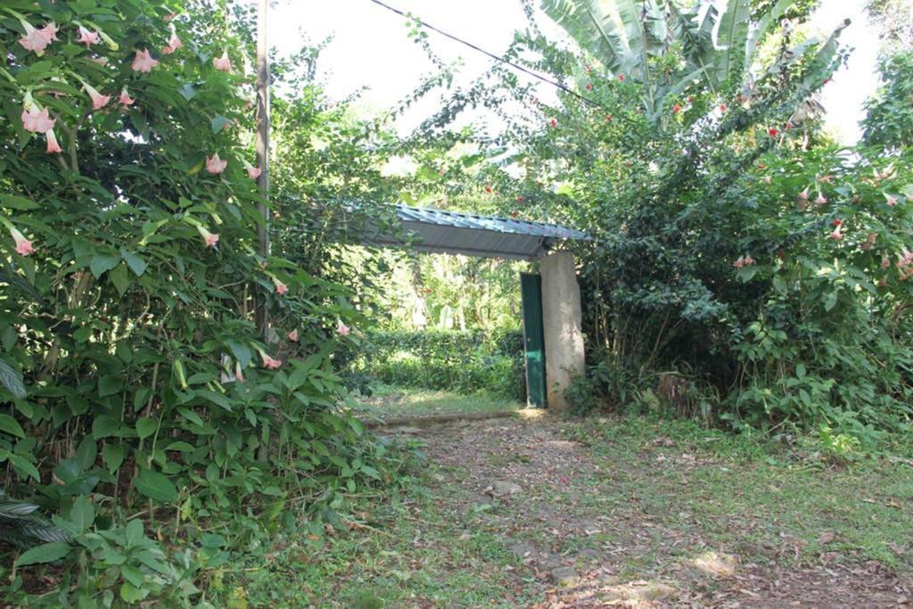 Vila Bema Farm Sao Jose Exteriér fotografie